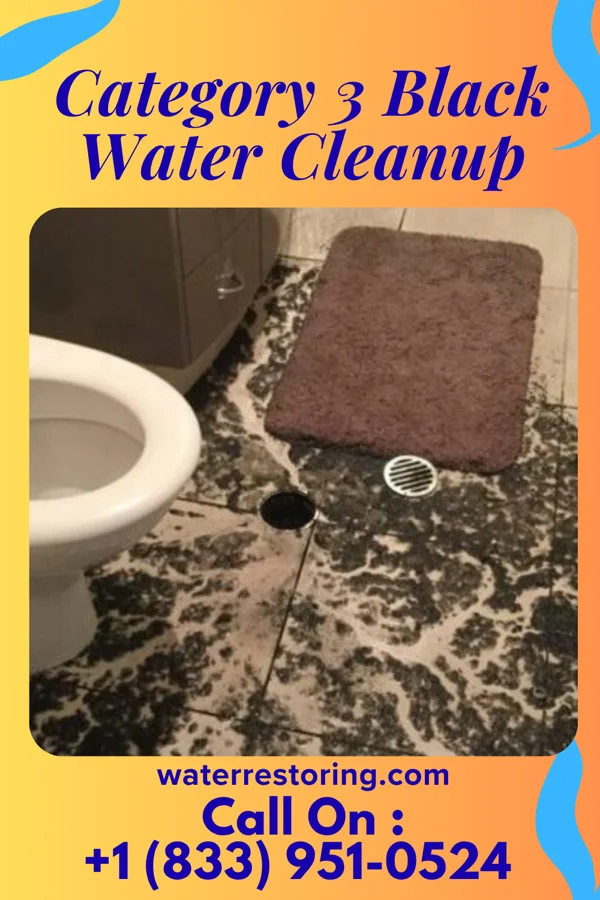 Category 3 Black Water Cleanup in Ellsworth, MN