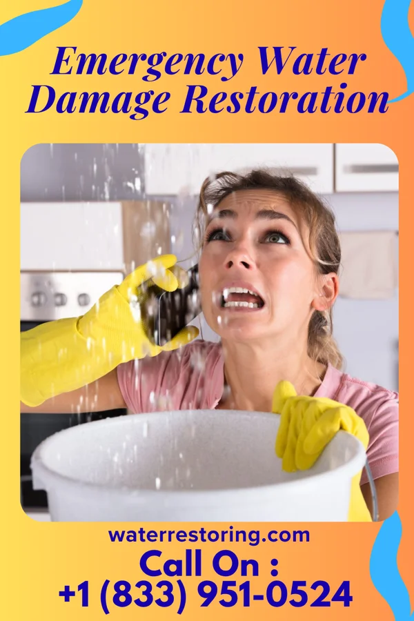 Emergency Water Damage Restoration in Ellsworth, MN