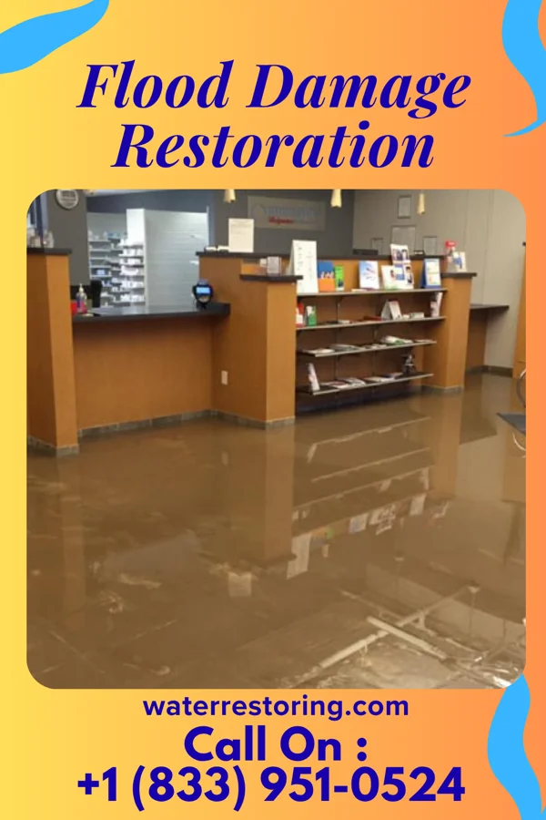 Flood Damage Restoration in Ellsworth, MN