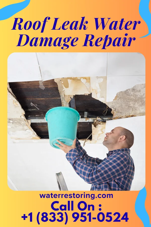 Roof Leak Water Damage Repair in Ellsworth, MN